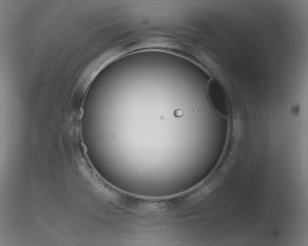 X0000116841369200912181448