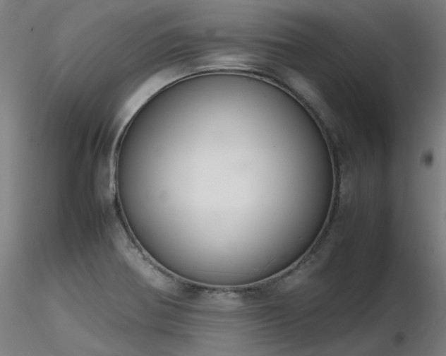 X0000116841370200912181448