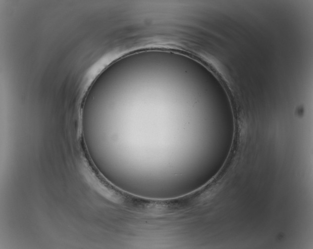 X0000116841371200912181448