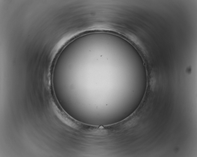 X0000116841372200912181448