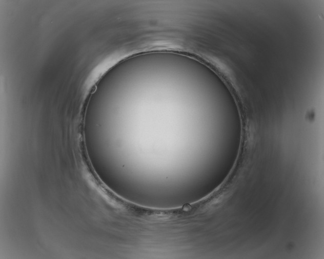 X0000116841373200912181448