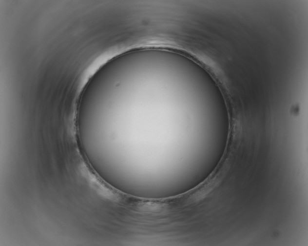 X0000116841374200912181448