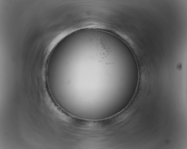X0000116841375200912181448