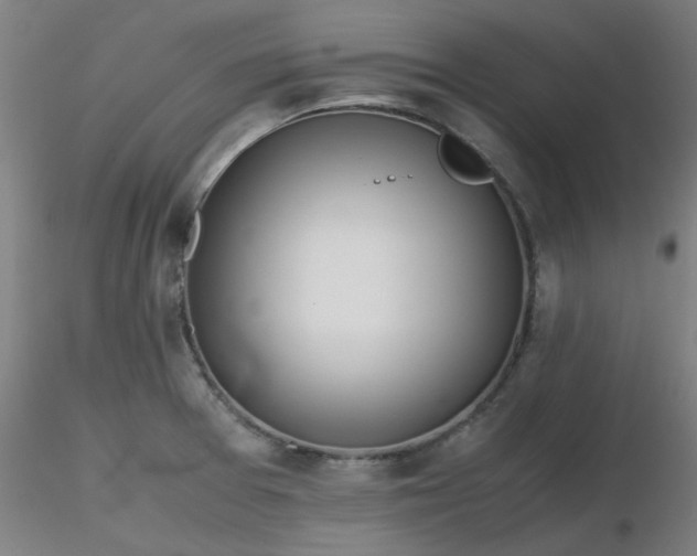 X0000116841377200912181448