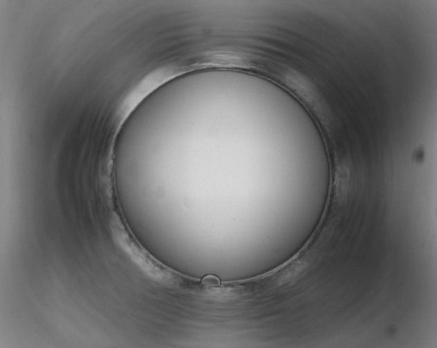 X0000116841378200912181448