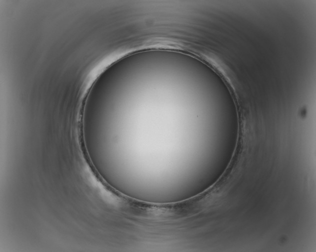X0000116841379200912181448
