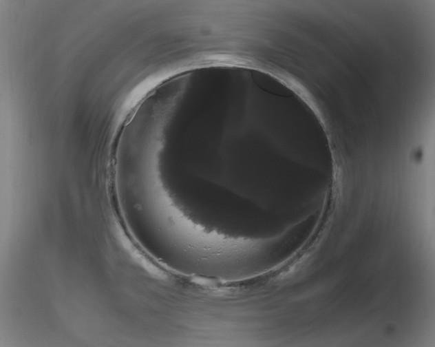 X0000116841381200912181448