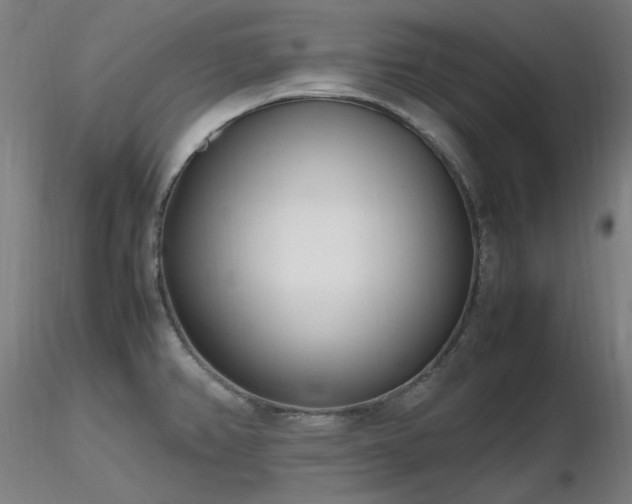 X0000116841382200912181448