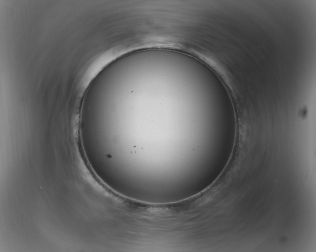 X0000116841383200912181448