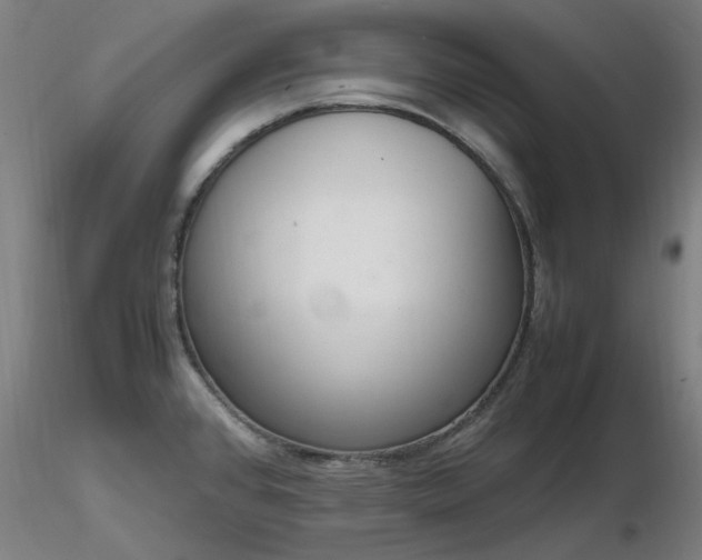 X0000116841384200912181448