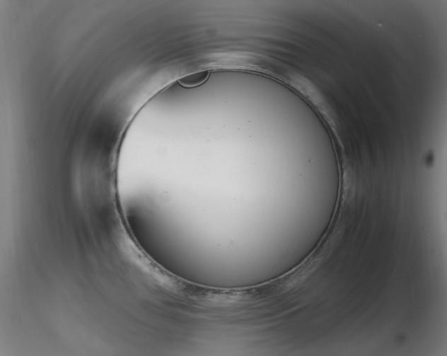 X0000116841386200912181448