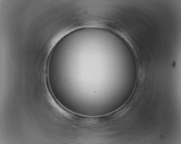 X0000116841387200912181448
