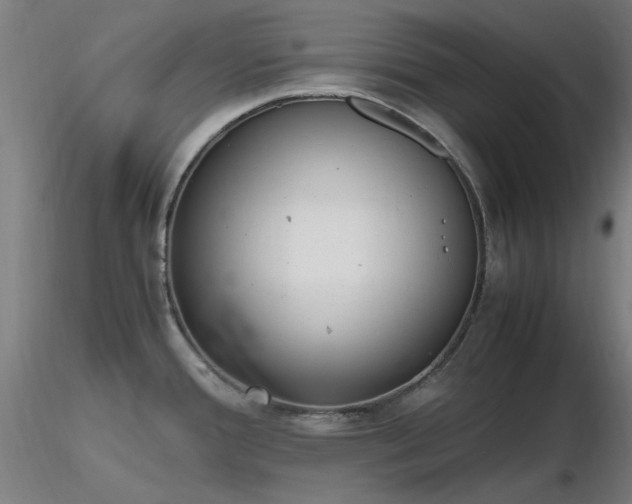X0000116841388200912181448