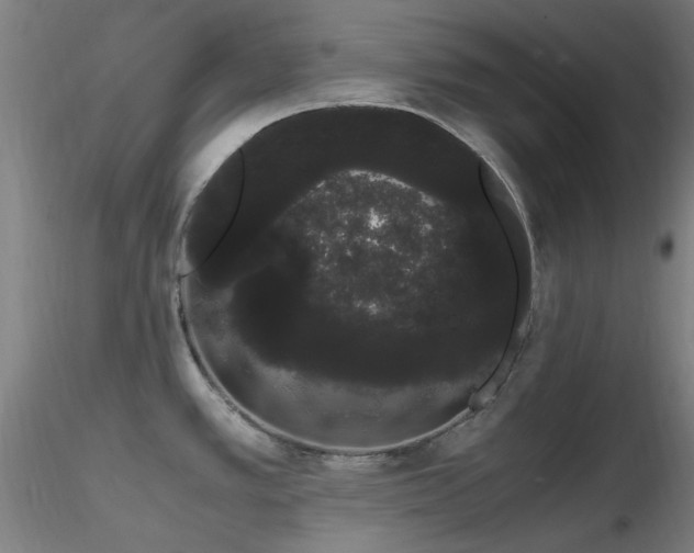 X0000116841389200912181448
