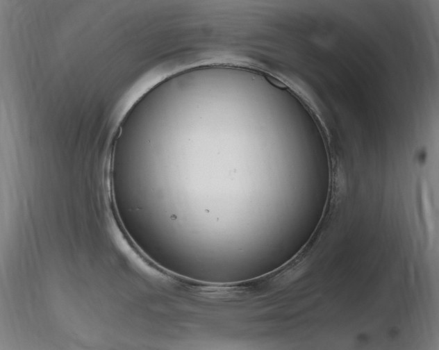 X0000116841391200912181447