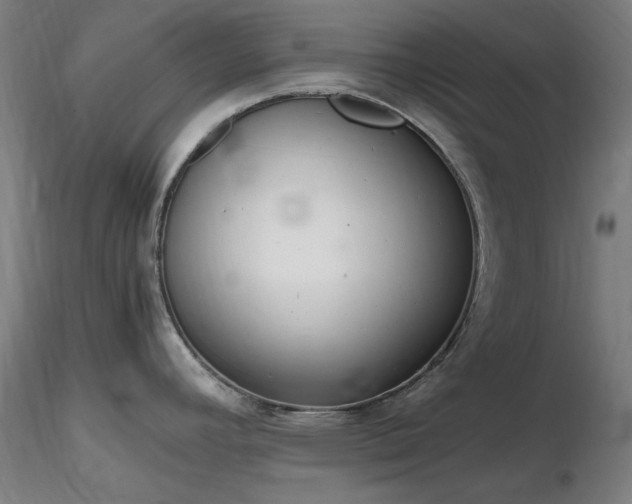X0000116841392200912181447