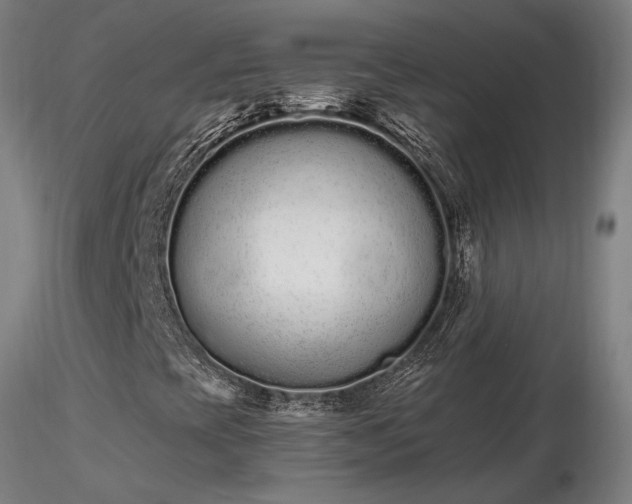 X0000116841393200912181446