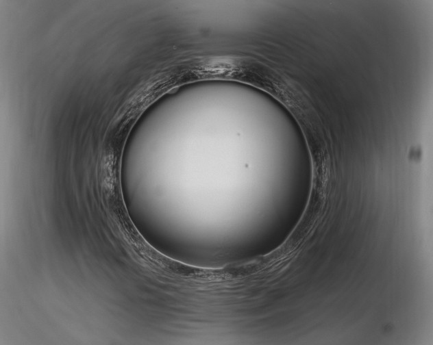 X0000116841394200912181446