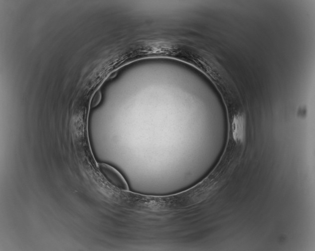 X0000116841395200912181447