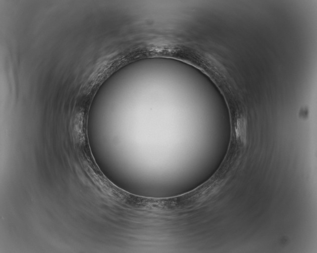 X0000116841396200912181447