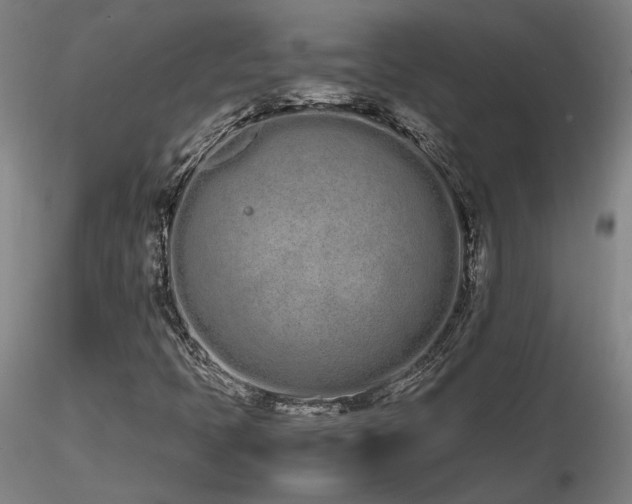 X0000116841397200912181447