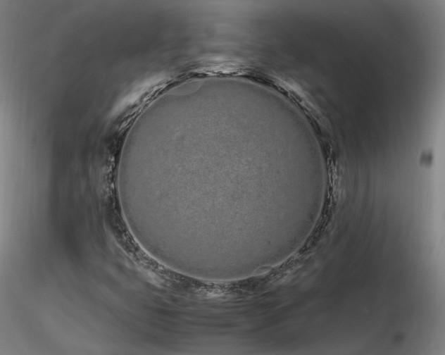 X0000116841399200912181447