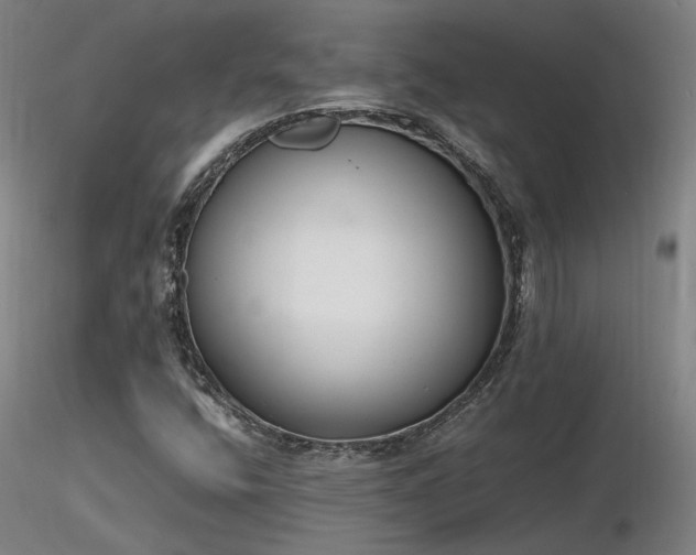 X0000116841400200912181447