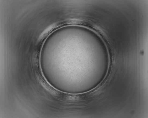X0000116841403200912181447