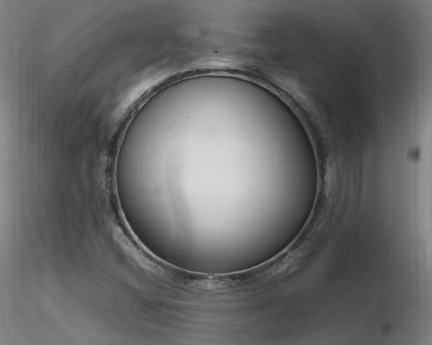X0000116841404200912181447