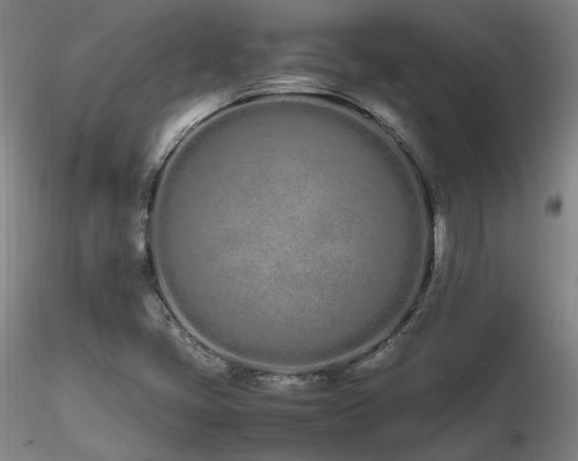 X0000116841405200912181447