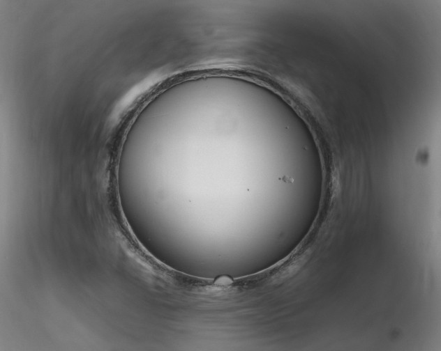X0000116841406200912181447