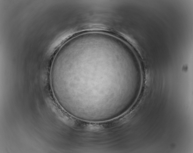 X0000116841407200912181447