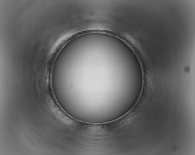 X0000116841408200912181447