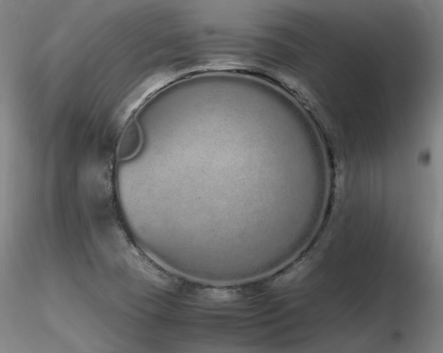 X0000116841409200912181447