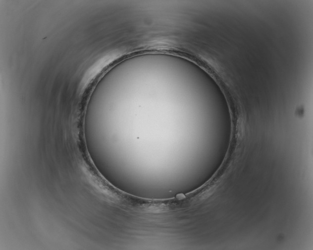 X0000116841410200912181447