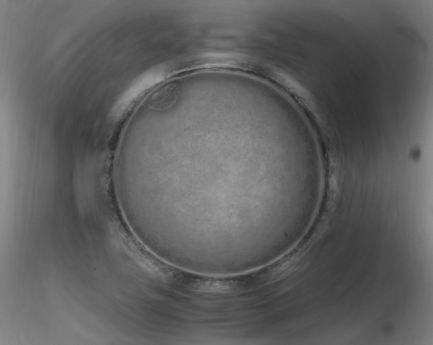 X0000116841411200912181447