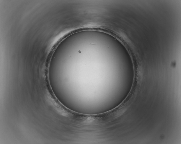 X0000116841412200912181447