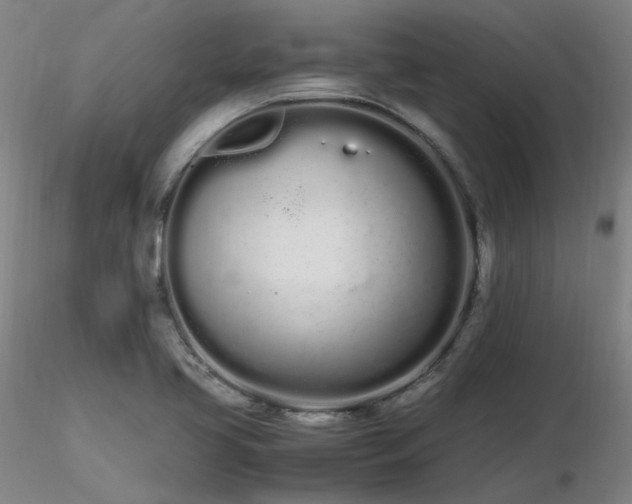 X0000116841413200912181447