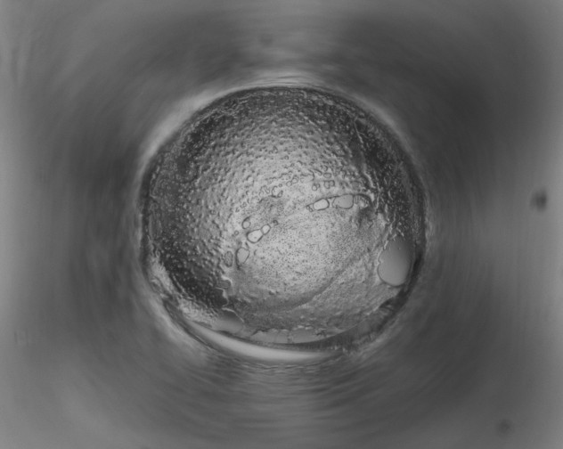X0000116841414200912181447