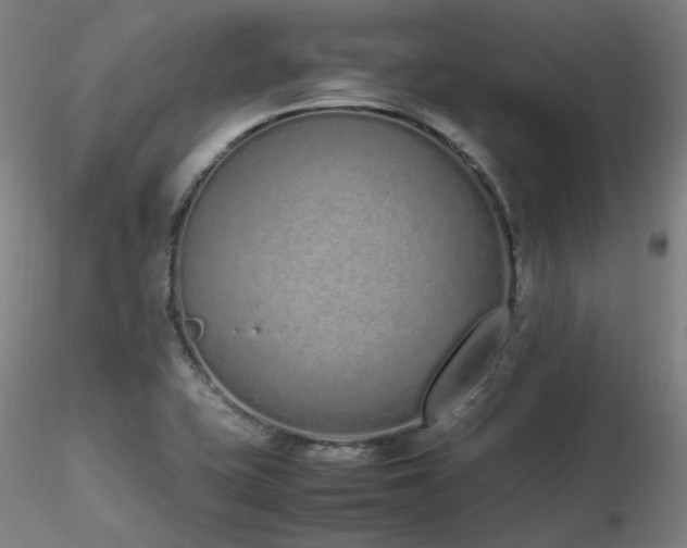 X0000116841415200912181447