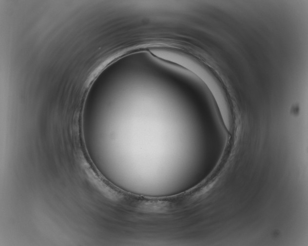 X0000116841417200912181447