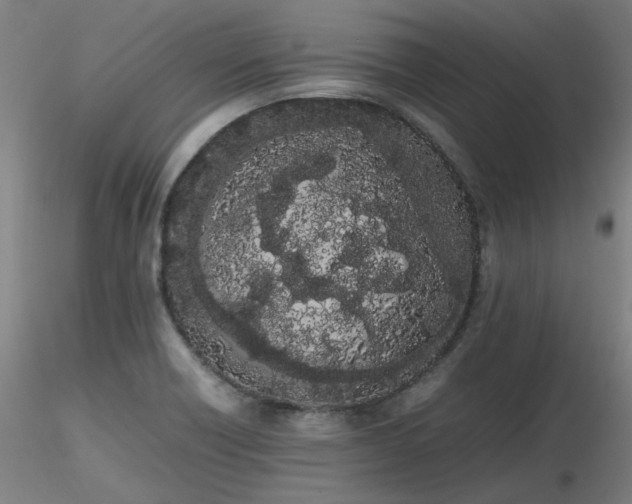 X0000116841418200912181447