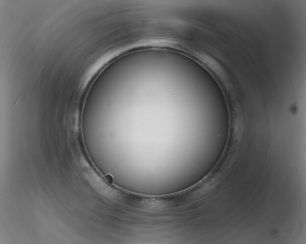 X0000116841420200912181447
