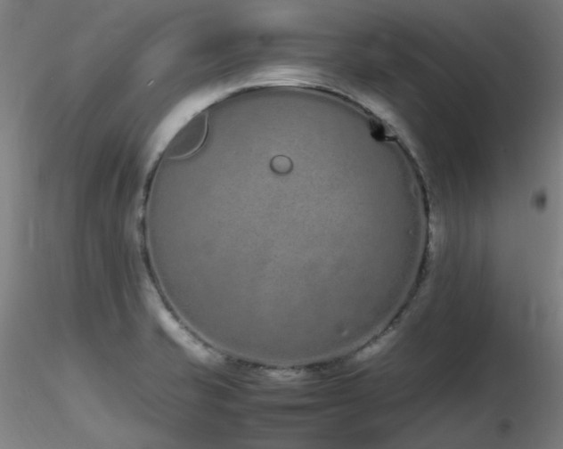X0000116841421200912181447
