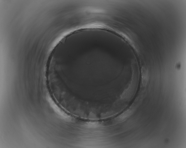 X0000116841422200912181447
