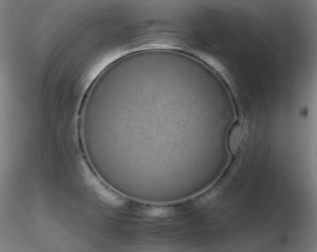 X0000116841423200912181447