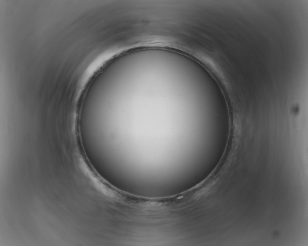 X0000116841424200912181447