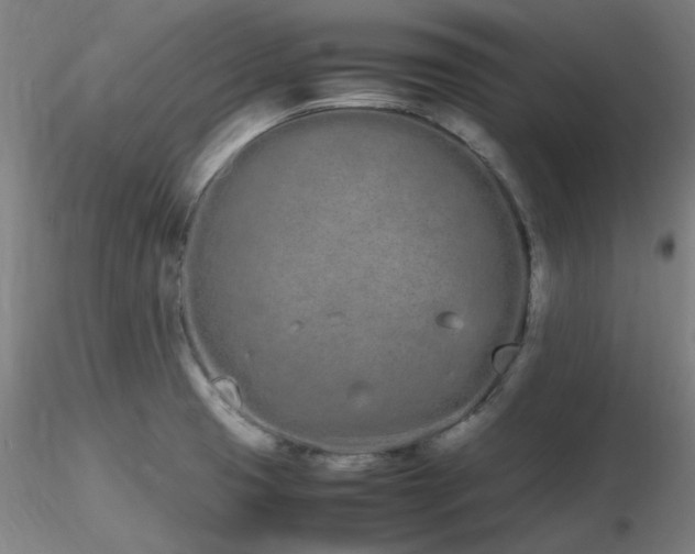X0000116841425200912181447
