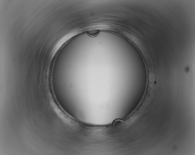 X0000116841426200912181447