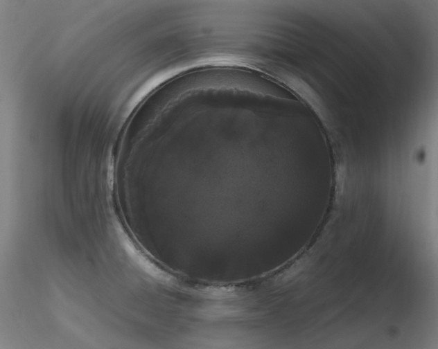X0000116841428200912181447